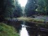 Another picture of Pescadero Creek ... very quiet and tranquil. Not to mention cold.