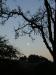 Full moon again -- which means that I have been here for a full month.