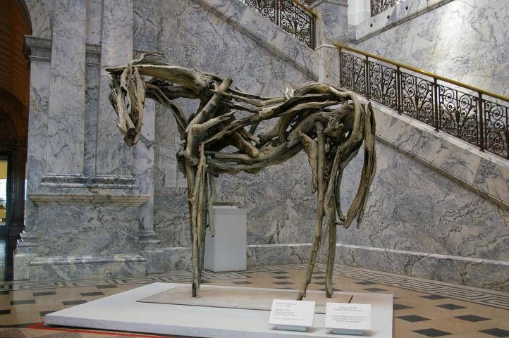 IMGP0166