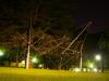 Kenneth Snelson sculpture, Stanford campus, at night.