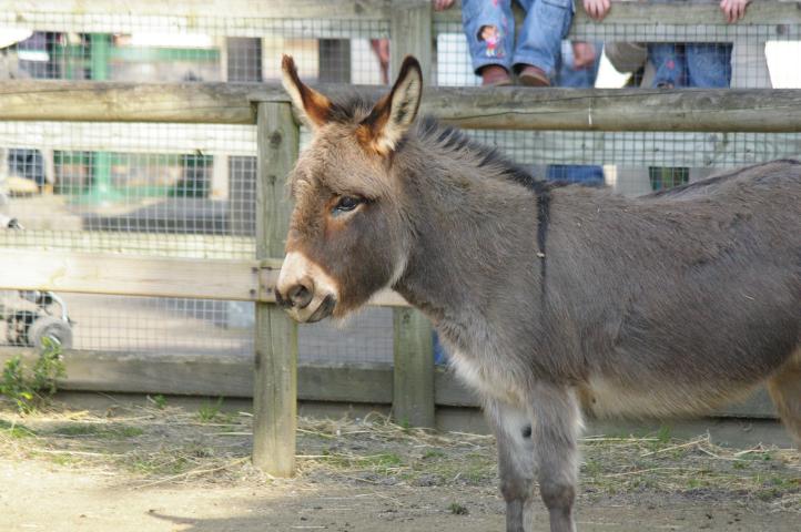 IMGP2659