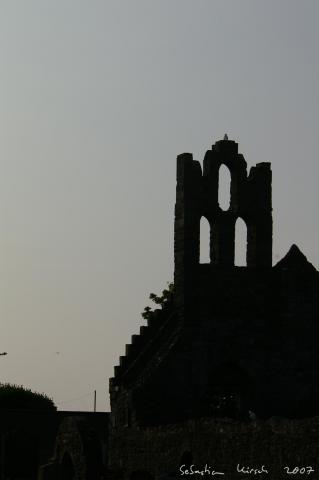 IMGP3127