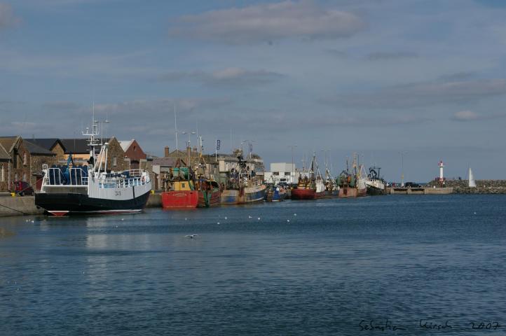 IMGP5524