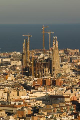 barcelona-8533