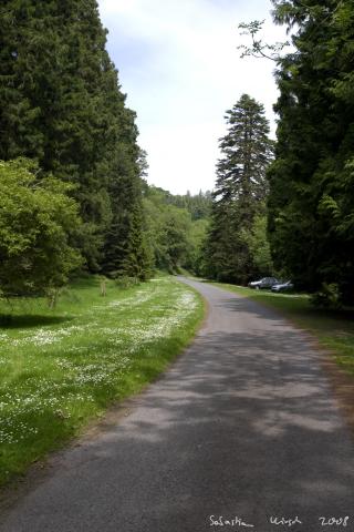 IMGP9463