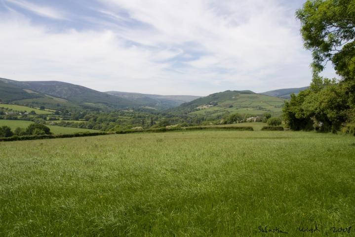 IMGP9519