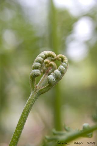 IMGP9557